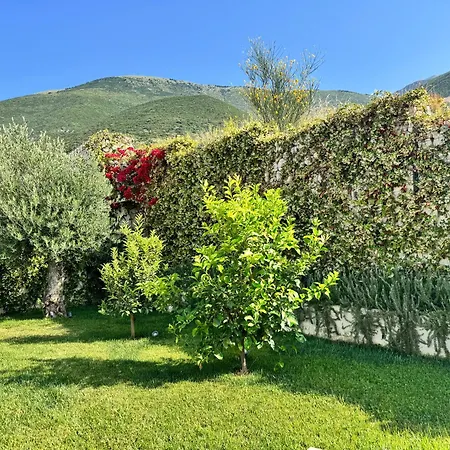 Coast Premium Villa Palasë